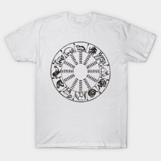 China fengshui T-Shirt